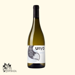 Uivo Rabigato