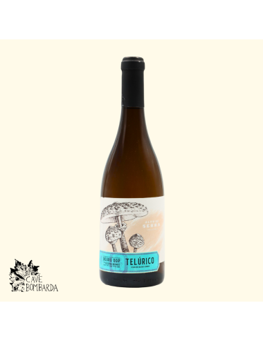 Alto da Serra Telurico Reserva Branco 2016