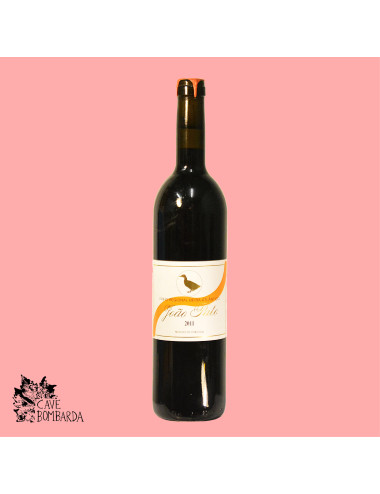 Cave Bombarda | BTT 2011