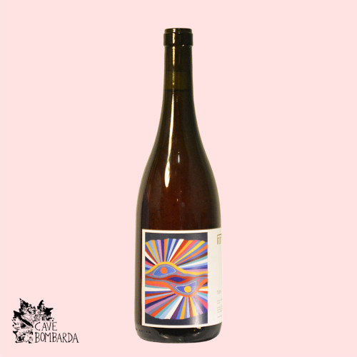 Cave Bombarda | Cristóvão Rosé