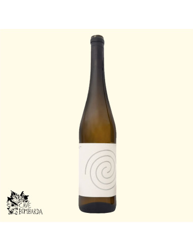 Cave Bombarda | Saravô Branco